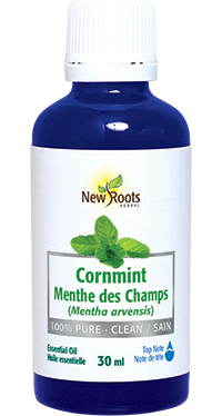 Pure Cornmint Essential Oil
