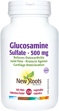 Glucosamine Sulfate 500 mg