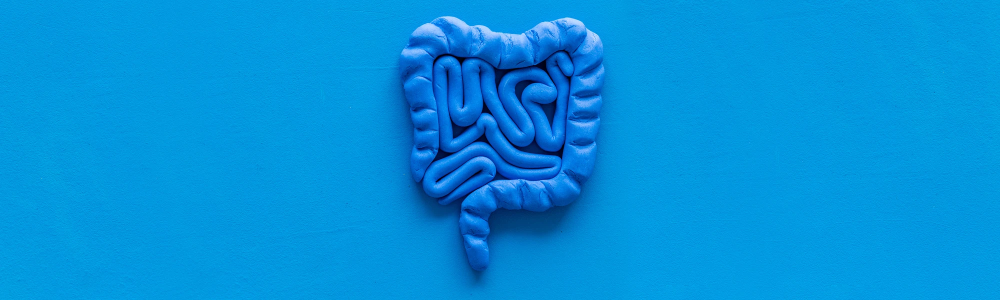 The Gut Microbiome and Health: Naturopathic Perspectives