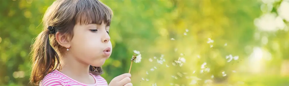 Seasonal Allergies: Naturopathic Management