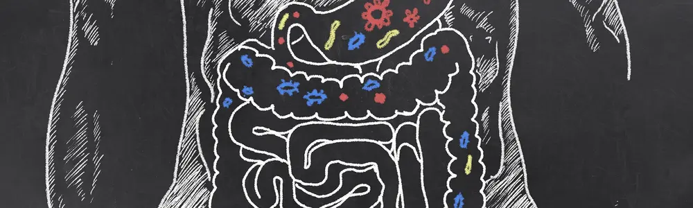 Probiotics Effectiveness: It’s All About the Delivery!