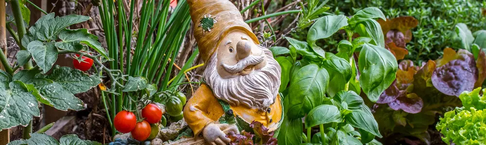Tiny Gardens, Big Rewards