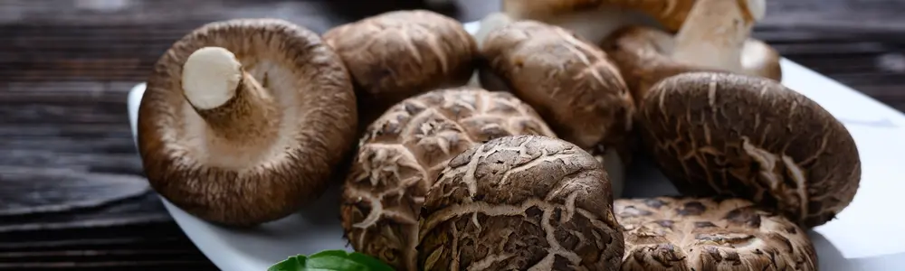 Fabulous Fungi: The Immune Effects of Medicinal Mushrooms