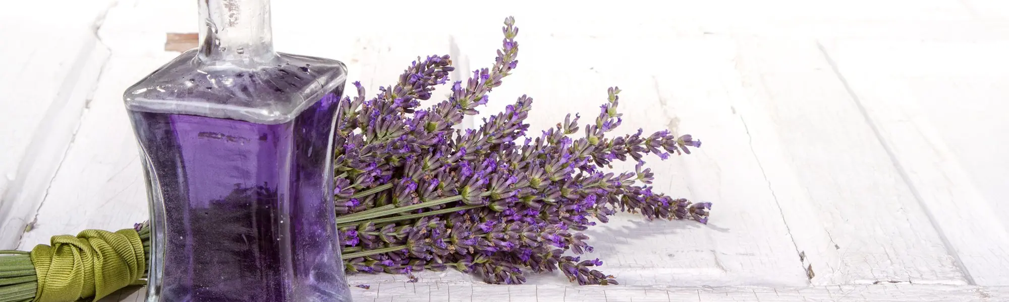 L’origine des huiles essentielles