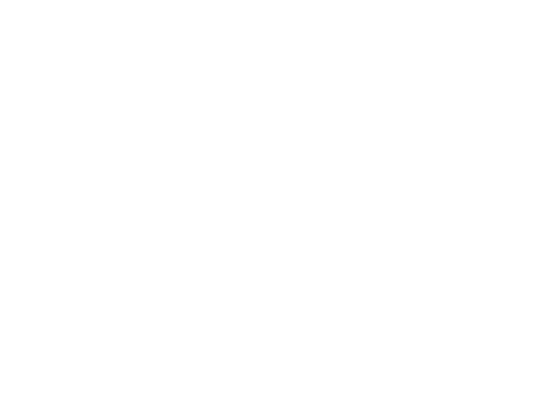 40 Years, Here at Home