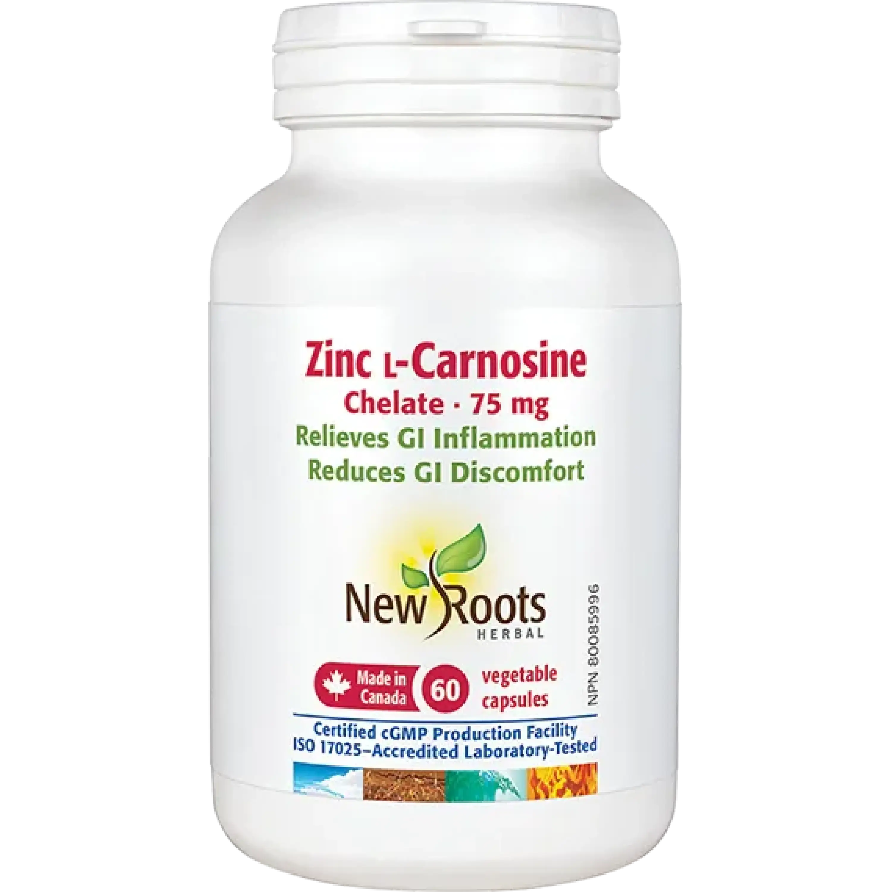 Reinforce your digestive armour